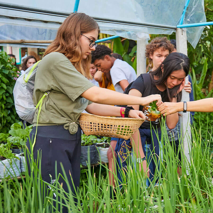 A group of people are standing around in a garden.