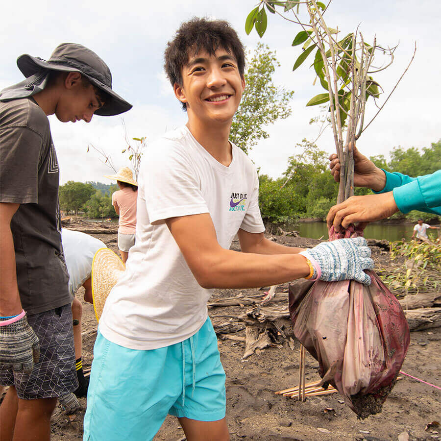 A group of people are working together to plant a tree.